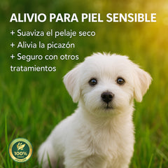 Champú hipoalergénico para perros