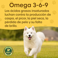 Omega 3 para perros